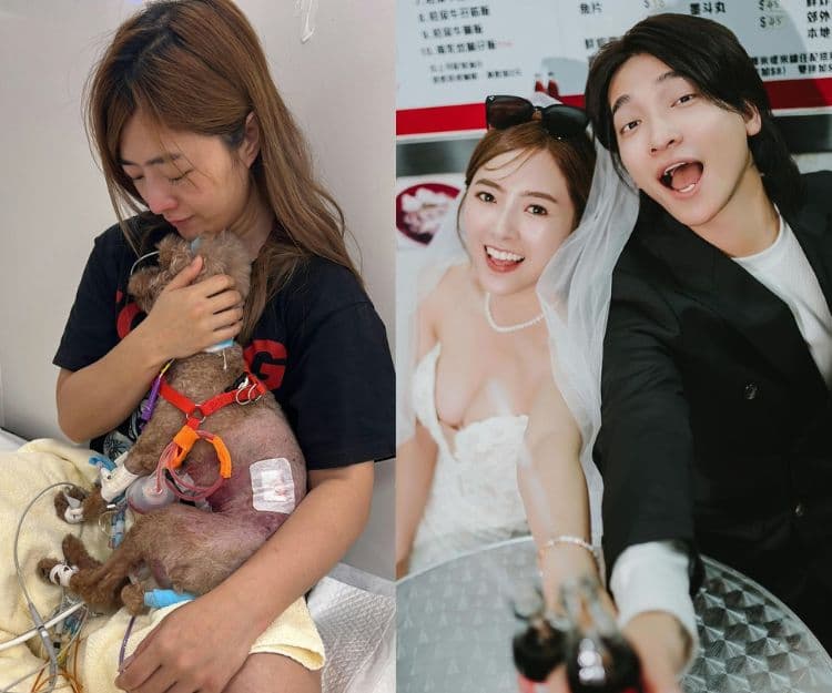 「牛雜妹」李亦喬面對愛犬受襲重傷後 懷孕9周流產雙重打擊 如何走出流產陰霾？預防抑鬱注意3方面